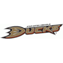 2007 Anaheim Ducks Logo